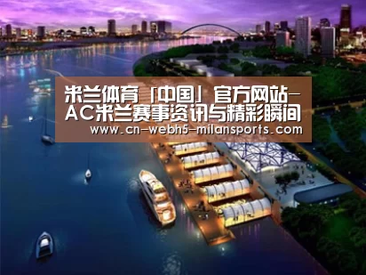 案例展示八